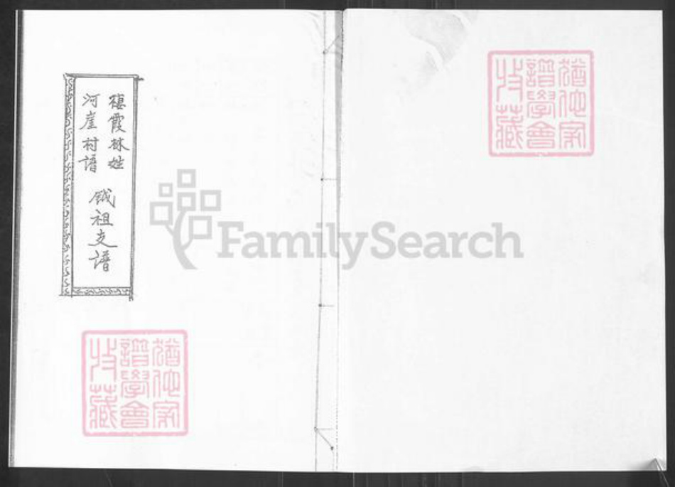 山东省烟台市栖霞市桃村镇林氏族谱-栖霞林姓河崖村谱.钺祖支谱.pdf电子版插图1