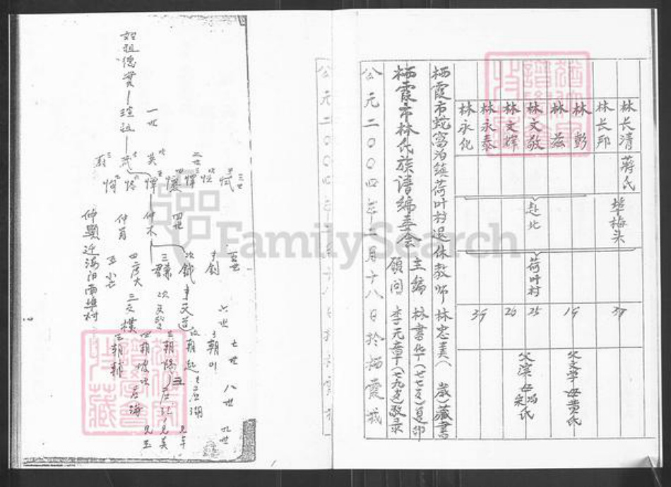 山东省烟台市栖霞市桃村镇林氏族谱-栖霞林姓河崖村谱.钺祖支谱.pdf电子版插图3