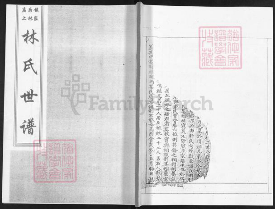 山东省烟台市栖霞市林氏族谱-林氏世谱.pdf电子版