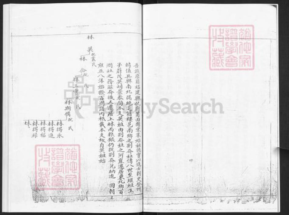 山东省烟台市栖霞市林氏族谱-林氏世谱.pdf电子版插图4