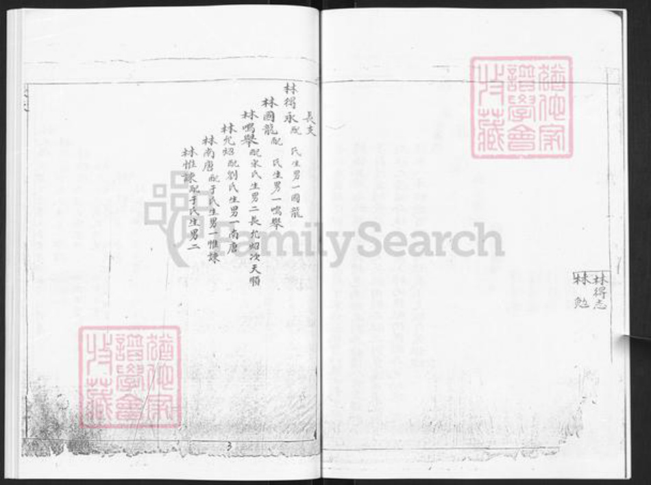 山东省烟台市栖霞市林氏族谱-林氏世谱.pdf电子版插图5