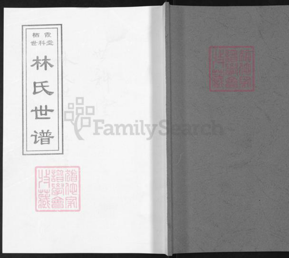 山东省烟台市栖霞市林氏世科堂族谱-栖霞世科堂林氏世谱.pdf电子版