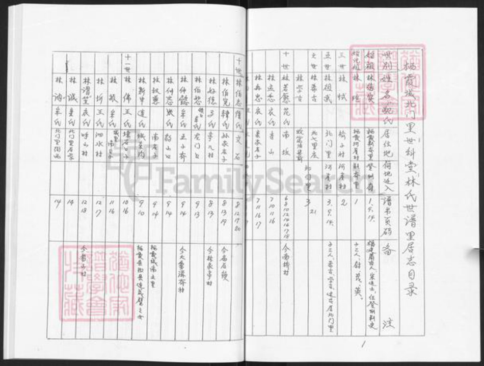 山东省烟台市栖霞市林氏世科堂族谱-栖霞世科堂林氏世谱.pdf电子版插图2