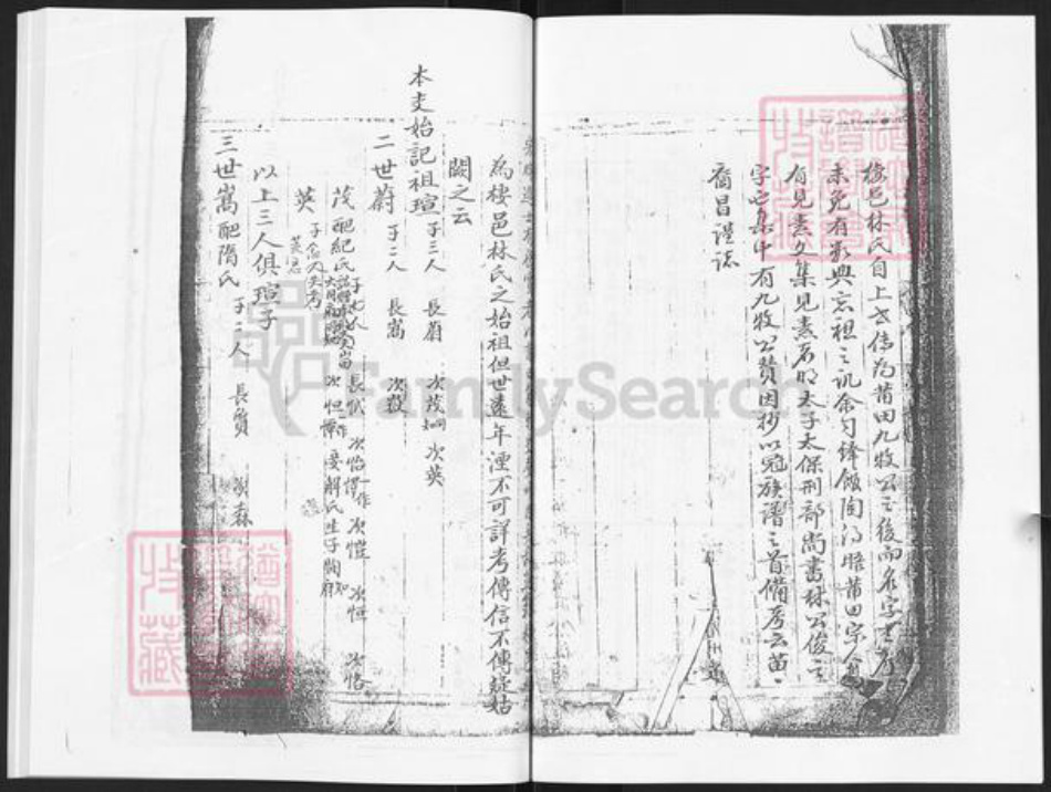 山东省烟台市栖霞市林氏世科堂族谱-栖霞世科堂林氏世谱.pdf电子版插图4