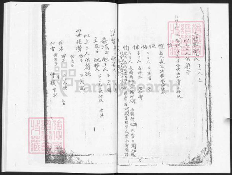 山东省烟台市栖霞市林氏世科堂族谱-栖霞世科堂林氏世谱.pdf电子版插图5