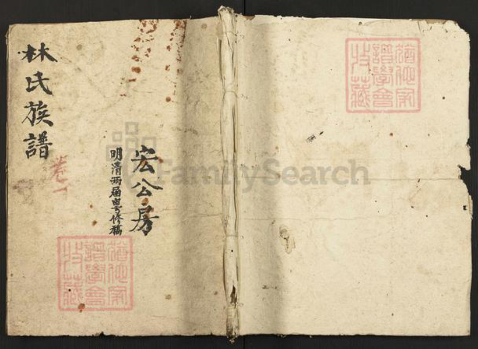 广东省潮州市林氏族谱-林氏族谱明清两届粤修稿.pdf电子版