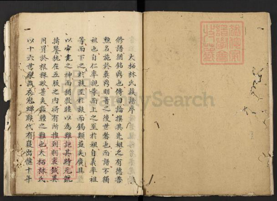 广东省潮州市林氏族谱-林氏族谱明清两届粤修稿.pdf电子版插图2