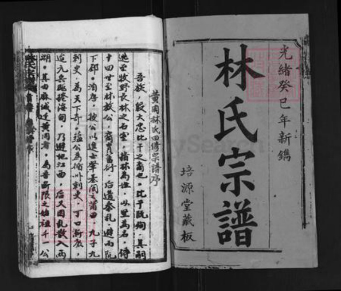 湖北省黄冈市团风县杜皮乡林氏培源堂族谱-林氏宗谱.pdf电子版插图1
