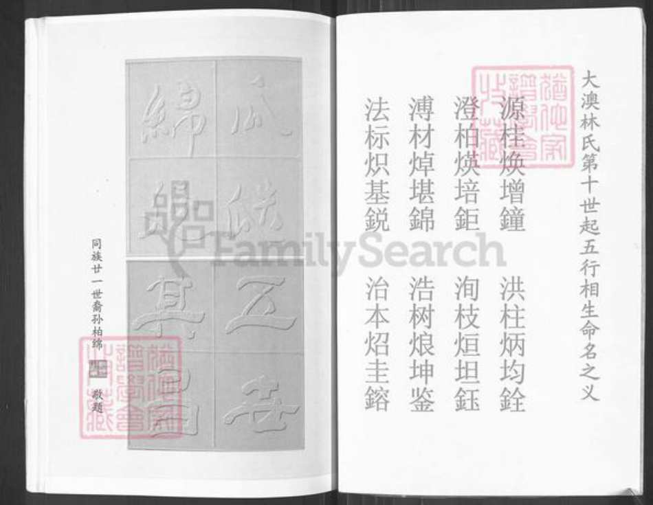 福建省福州市福清市新厝镇林氏如在堂族谱-西河忠义林大澳八老房族谱.珖公支系.pdf电子版插图3 福建省福州市福清市新厝镇林氏如在堂族谱-西河忠义林大澳八老房族谱.珖公支系.pdf电子版插图3