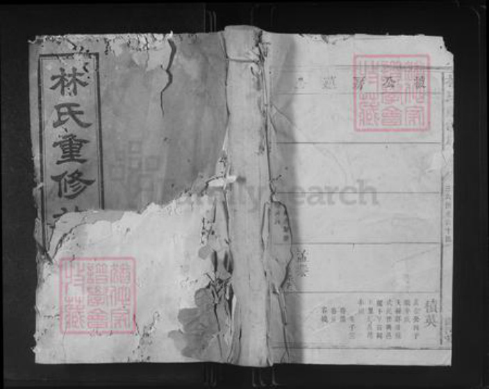 福建省泉州市林氏济南堂族谱-林氏重修族谱.pdf电子版插图