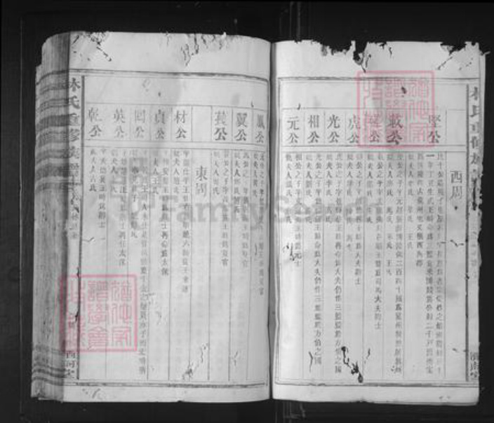 福建省泉州市林氏济南堂族谱-林氏重修族谱.pdf电子版插图2