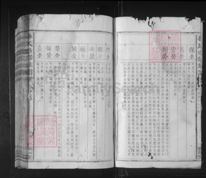 福建省泉州市林氏济南堂族谱-林氏重修族谱.pdf电子版插图3