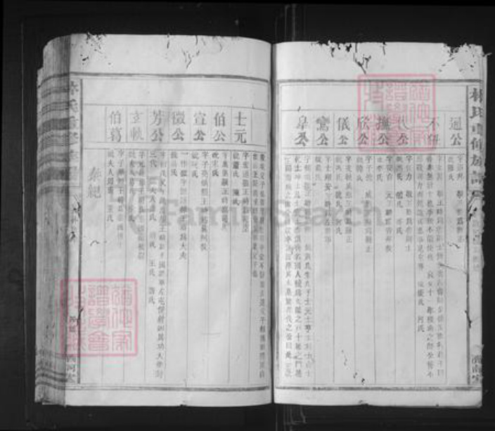福建省泉州市林氏济南堂族谱-林氏重修族谱.pdf电子版插图4