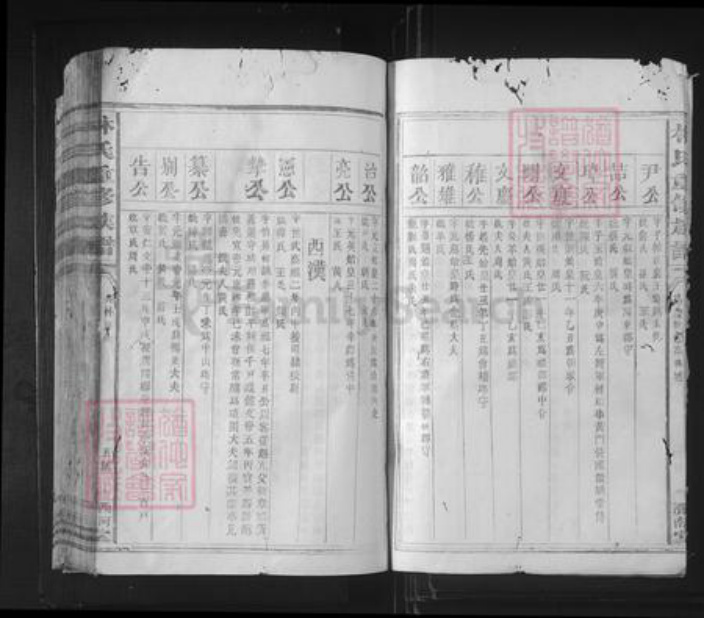 福建省泉州市林氏济南堂族谱-林氏重修族谱.pdf电子版插图5