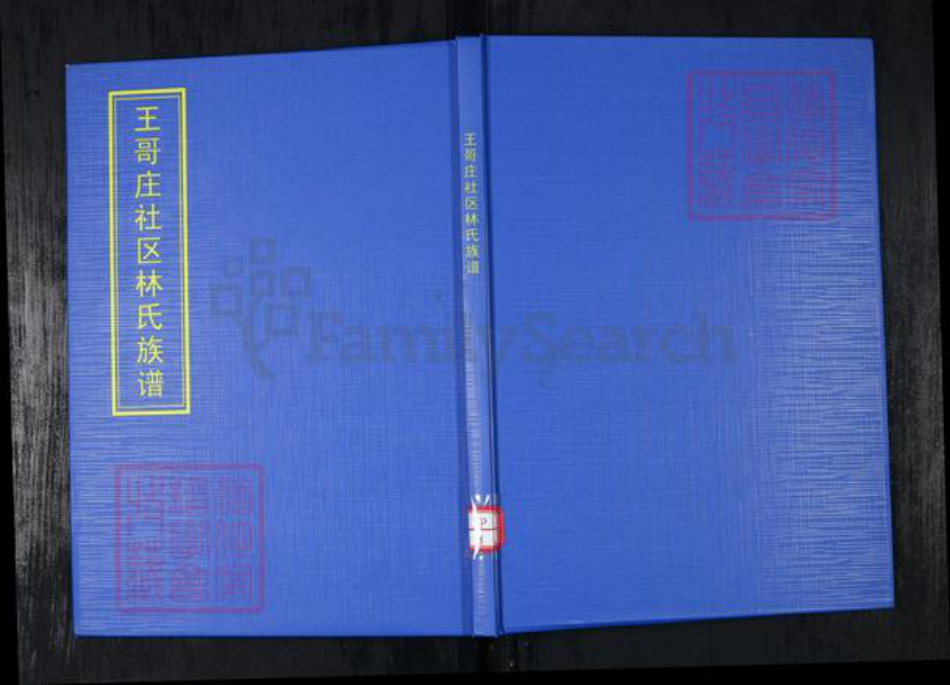 山东省青岛市崂山区林氏族谱-王哥庄社区林氏族谱.pdf电子版插图 山东省青岛市崂山区林氏族谱-王哥庄社区林氏族谱.pdf电子版插图