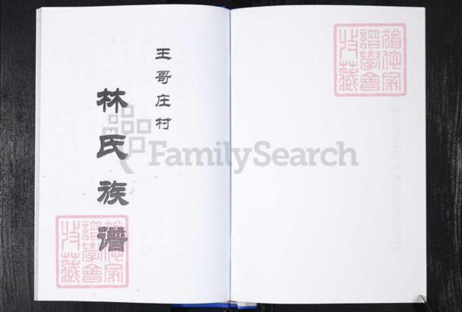 山东省青岛市崂山区林氏族谱-王哥庄社区林氏族谱.pdf电子版插图2 山东省青岛市崂山区林氏族谱-王哥庄社区林氏族谱.pdf电子版插图2