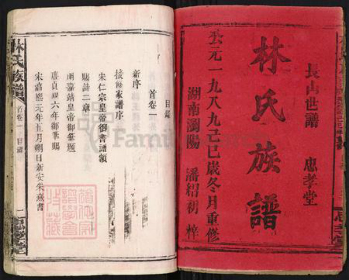 福建省漳州市林氏忠孝堂族谱-林氏族谱.pdf电子版插图1