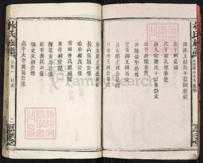 福建省漳州市林氏忠孝堂族谱-林氏族谱.pdf电子版插图2