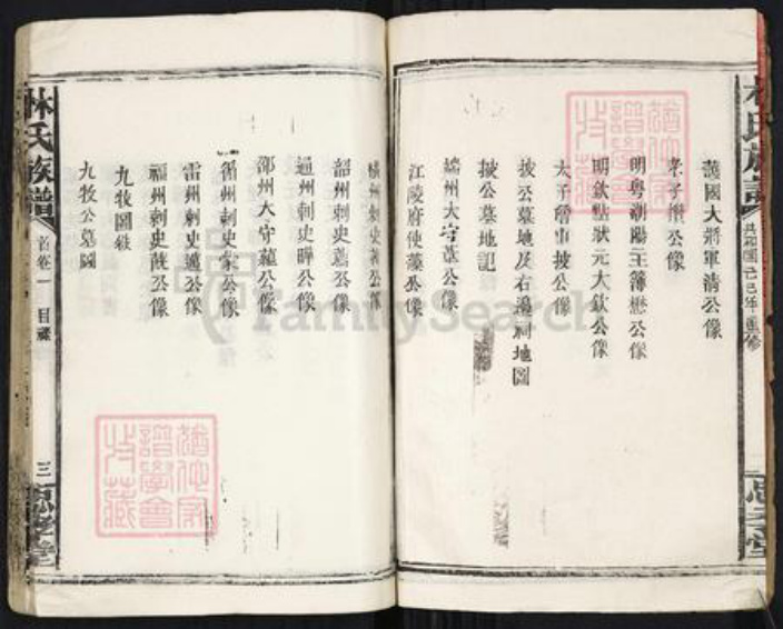 福建省漳州市林氏忠孝堂族谱-林氏族谱.pdf电子版插图3