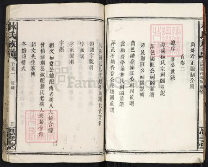 福建省漳州市林氏忠孝堂族谱-林氏族谱.pdf电子版插图5