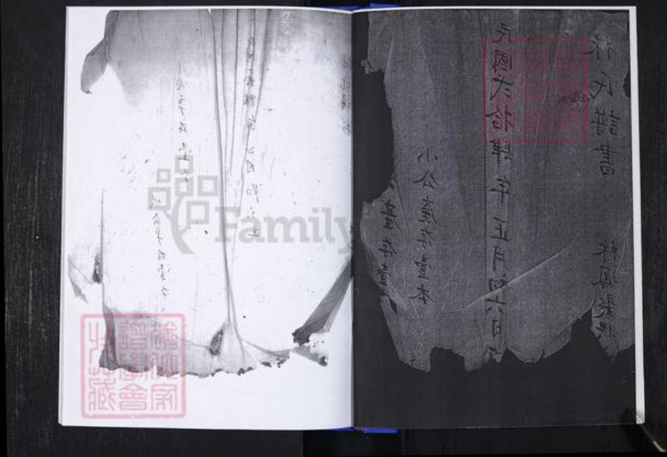 山东省青岛市崂山区林氏族谱-青山社区林氏谱书.pdf电子版插图2 山东省青岛市崂山区林氏族谱-青山社区林氏谱书.pdf电子版插图2