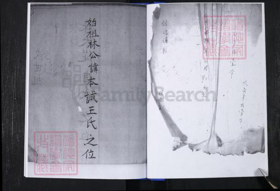 山东省青岛市崂山区林氏族谱-青山社区林氏谱书.pdf电子版插图3 山东省青岛市崂山区林氏族谱-青山社区林氏谱书.pdf电子版插图3