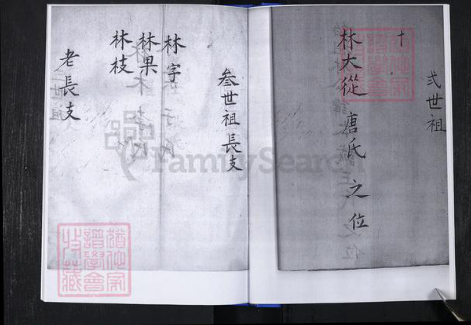 山东省青岛市崂山区林氏族谱-青山社区林氏谱书.pdf电子版插图4 山东省青岛市崂山区林氏族谱-青山社区林氏谱书.pdf电子版插图4