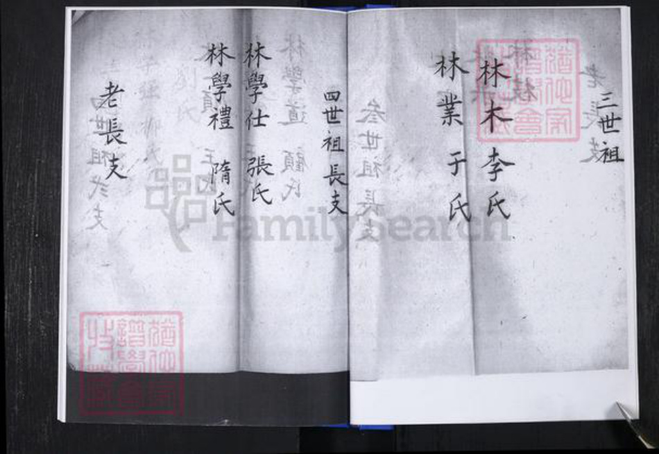 山东省青岛市崂山区林氏族谱-青山社区林氏谱书.pdf电子版插图5 山东省青岛市崂山区林氏族谱-青山社区林氏谱书.pdf电子版插图5