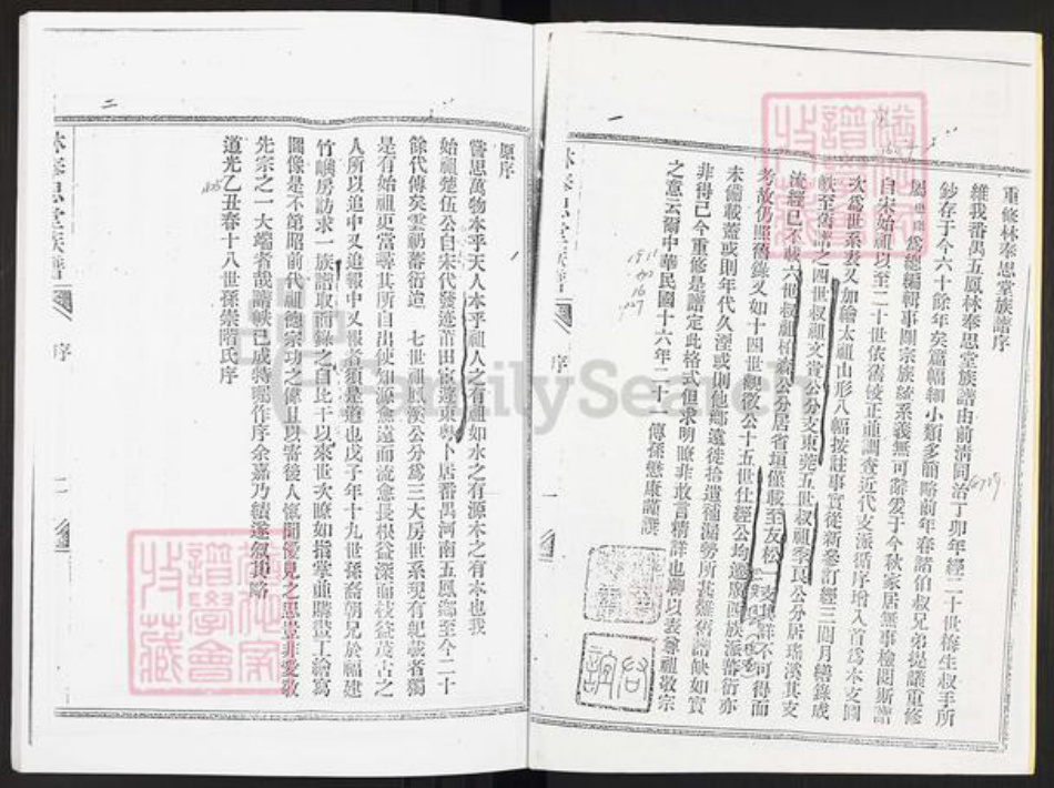 广东省广州市番禺区林氏奉思堂族谱-林奉思堂族谱.pdf电子版插图2