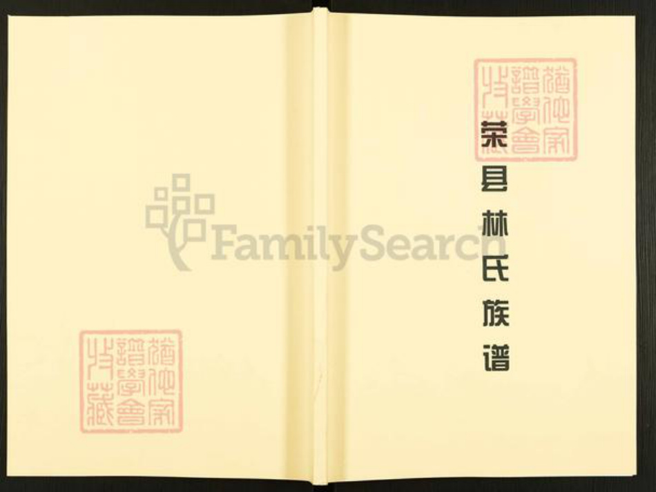 四川省自贡市贡井区林氏忠孝堂族谱-荣县林氏族谱.pdf电子版