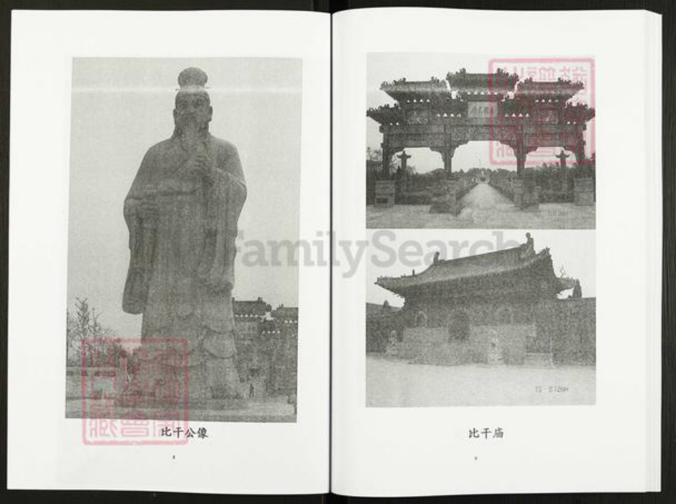 四川省自贡市贡井区林氏忠孝堂族谱-荣县林氏族谱.pdf电子版插图5