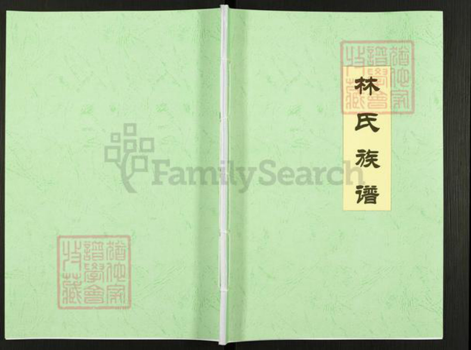 广东省梅州市五华县转水镇林氏九龙堂族谱-林氏族谱.pdf电子版