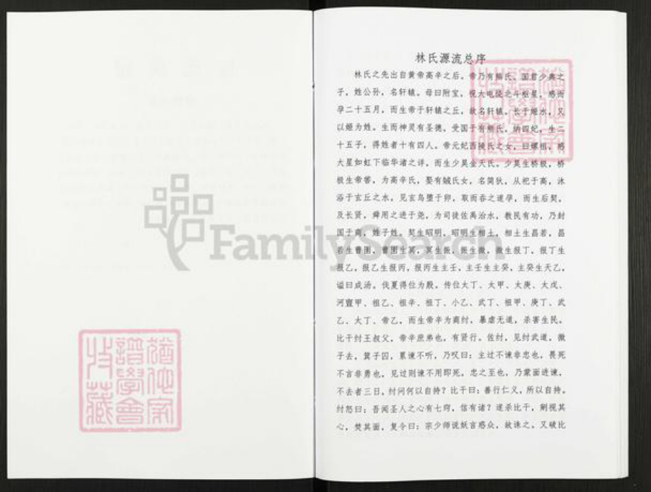 广东省梅州市五华县转水镇林氏九龙堂族谱-林氏族谱.pdf电子版插图3