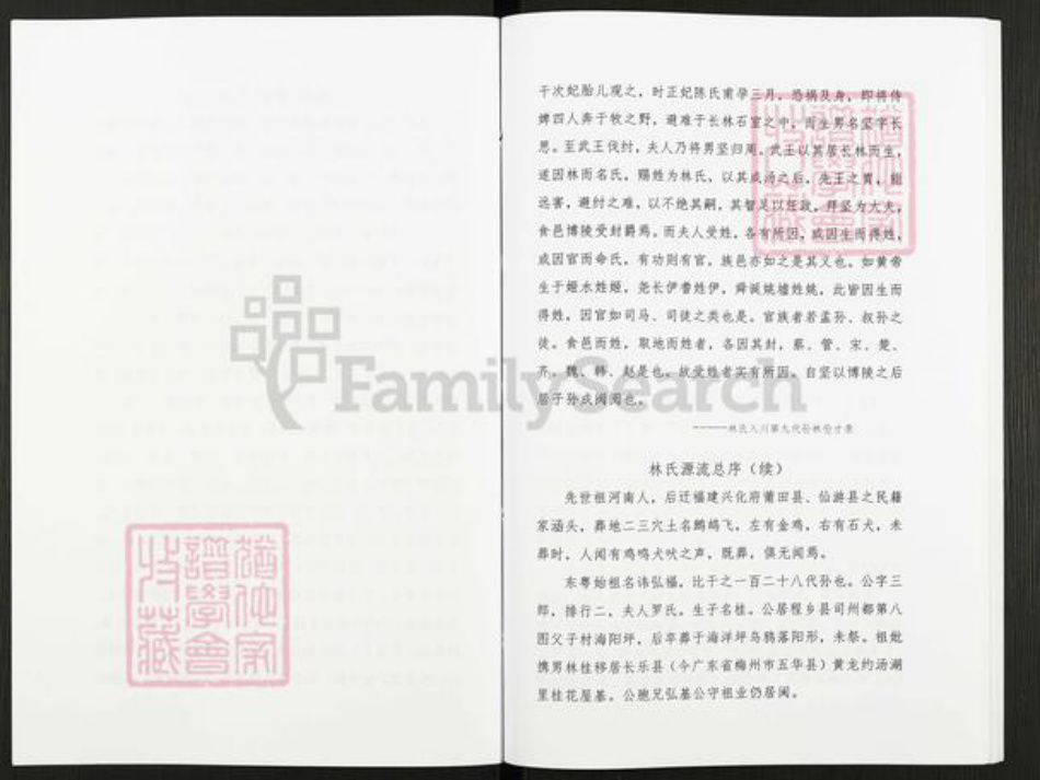 广东省梅州市五华县转水镇林氏九龙堂族谱-林氏族谱.pdf电子版插图4