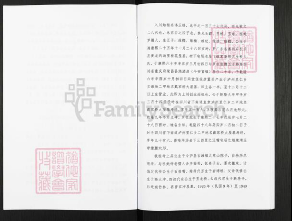 广东省梅州市五华县转水镇林氏九龙堂族谱-林氏族谱.pdf电子版插图5