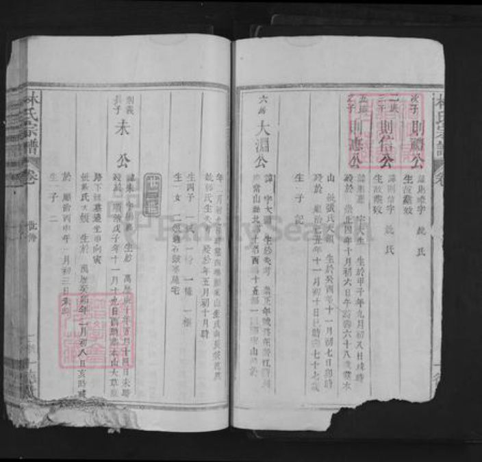 江西省上饶市林氏十德堂族谱-林氏宗谱.pdf电子版插图2