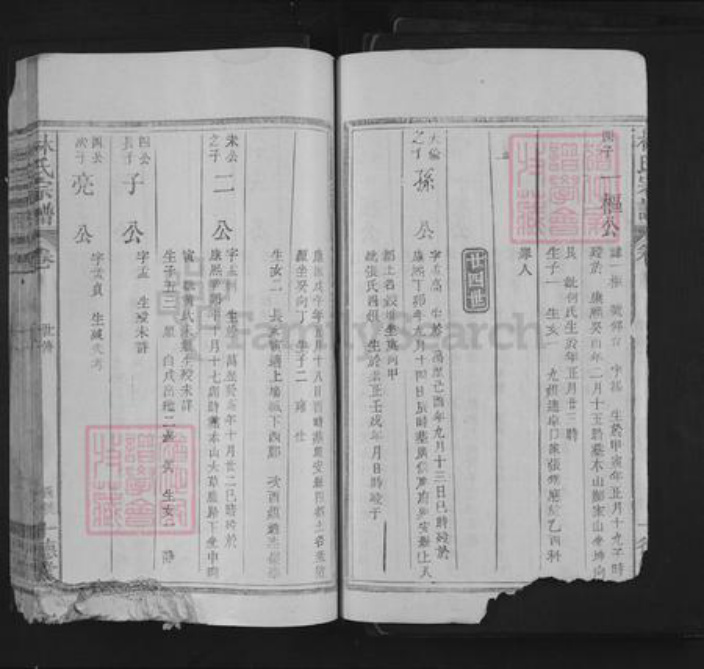 江西省上饶市林氏十德堂族谱-林氏宗谱.pdf电子版插图3