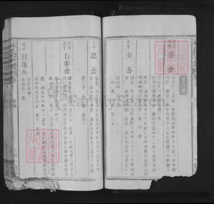 江西省上饶市林氏十德堂族谱-林氏宗谱.pdf电子版插图4