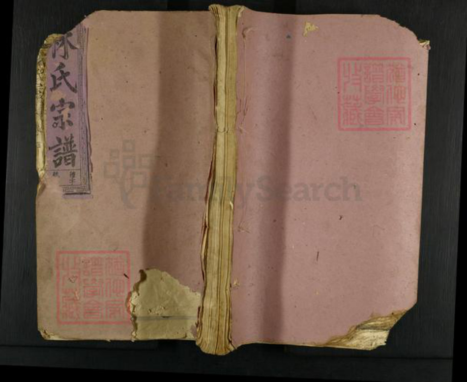 福建省漳州市龙海市角美镇林氏十德堂族谱-林氏宗谱.pdf电子版