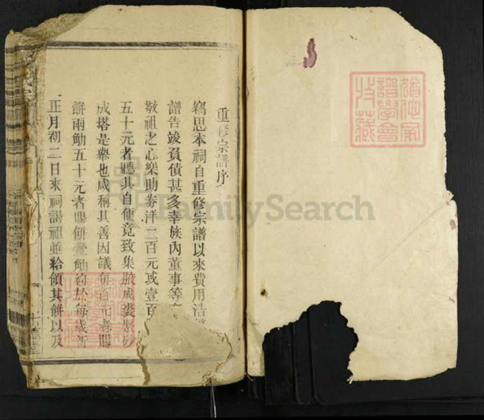 福建省漳州市龙海市角美镇林氏十德堂族谱-林氏宗谱.pdf电子版插图1