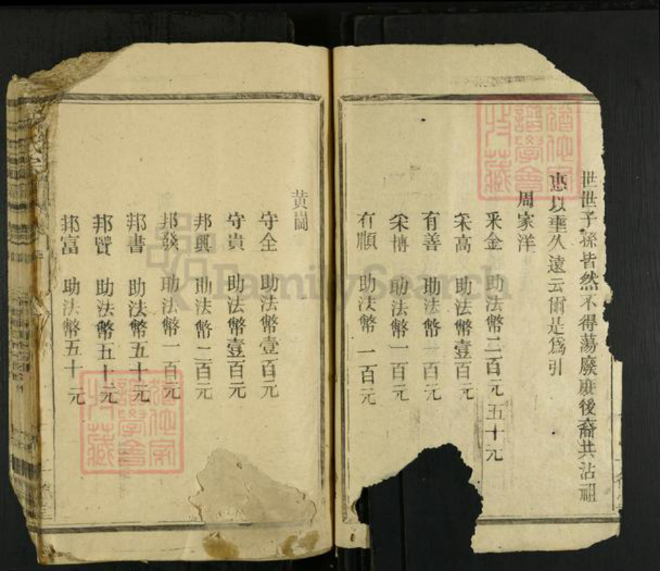 福建省漳州市龙海市角美镇林氏十德堂族谱-林氏宗谱.pdf电子版插图2