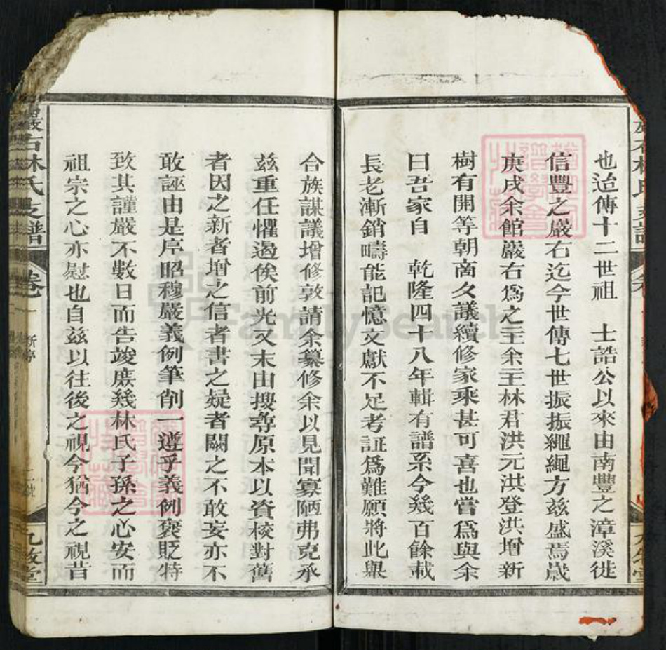 江西省上饶市广丰区毛村镇林氏九牧堂族谱-严右林氏支谱.pdf电子版插图2 江西省上饶市广丰区毛村镇林氏九牧堂族谱-严右林氏支谱.pdf电子版插图2