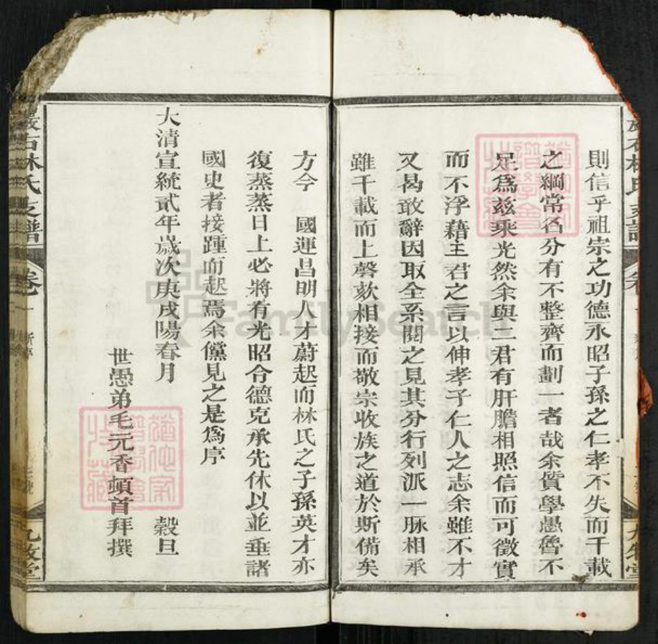 江西省上饶市广丰区毛村镇林氏九牧堂族谱-严右林氏支谱.pdf电子版插图3 江西省上饶市广丰区毛村镇林氏九牧堂族谱-严右林氏支谱.pdf电子版插图3