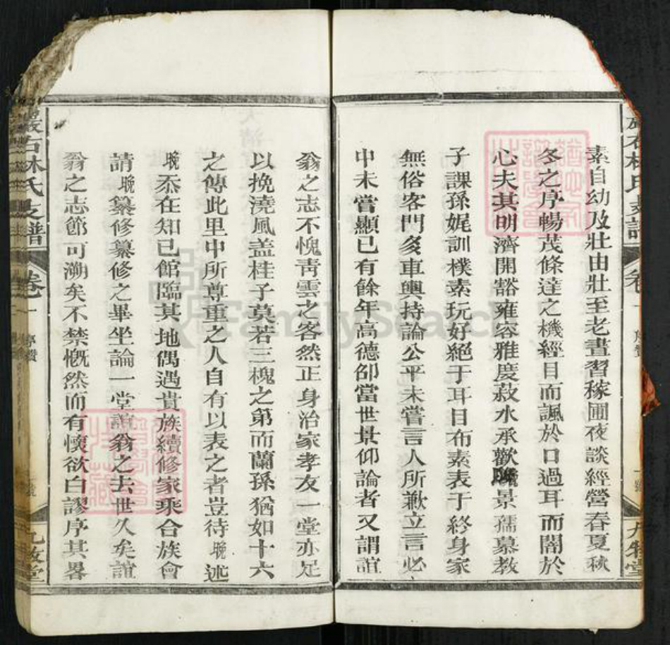 江西省上饶市广丰区毛村镇林氏九牧堂族谱-严右林氏支谱.pdf电子版插图5 江西省上饶市广丰区毛村镇林氏九牧堂族谱-严右林氏支谱.pdf电子版插图5