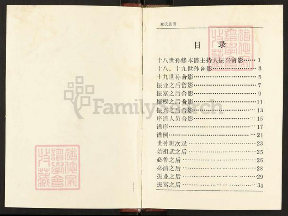 江苏省淮安市淮安区林氏九木堂族谱-林氏族谱.pdf电子版插图1 江苏省淮安市淮安区林氏九木堂族谱-林氏族谱.pdf电子版插图1