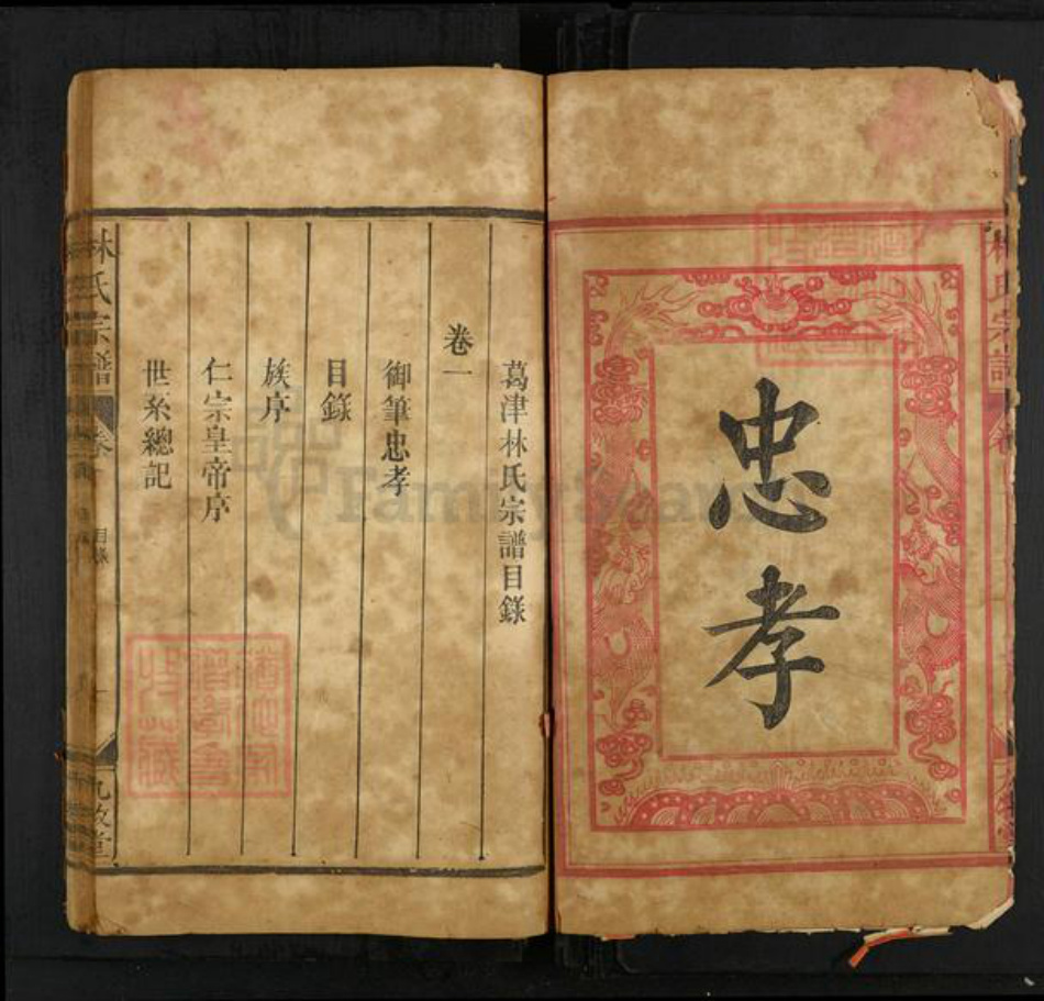 江西省上饶市广丰区林氏九牧堂族谱-林氏宗谱.pdf电子版插图2