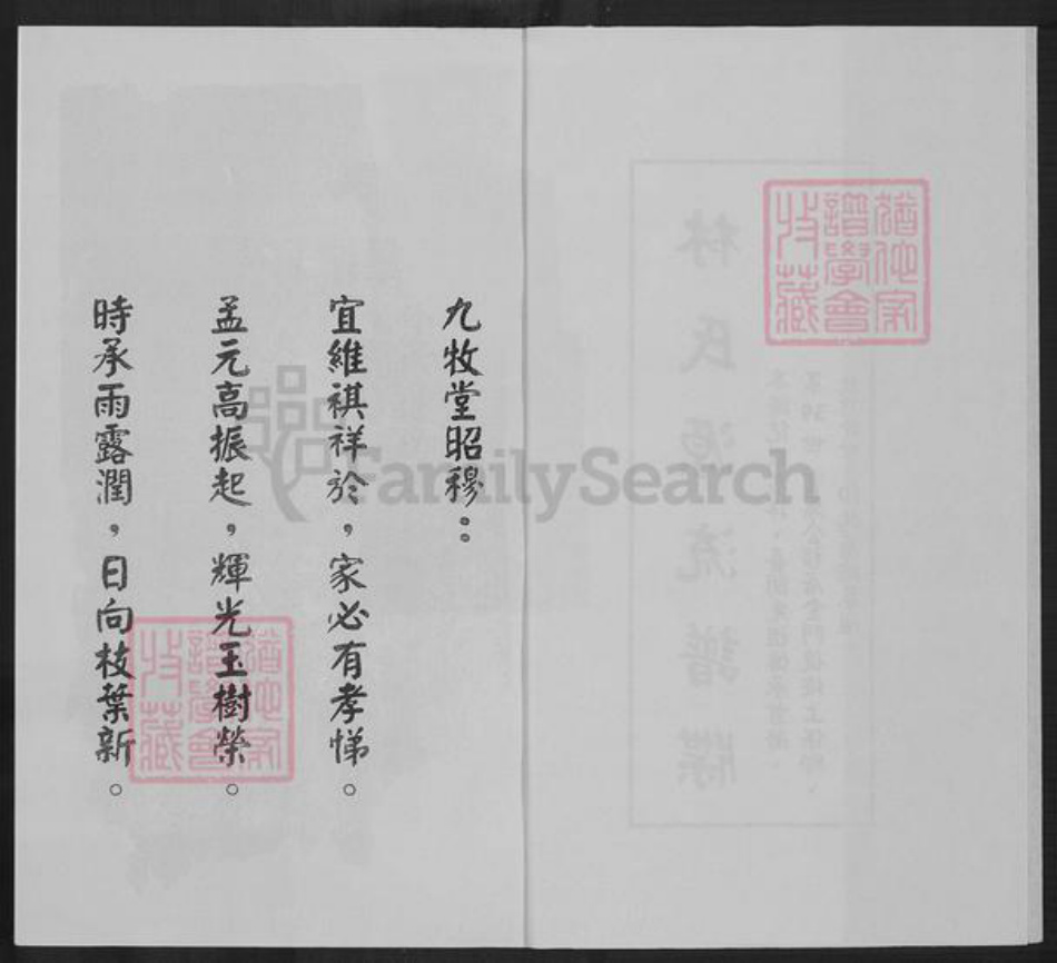 福建省泉州市金门县林氏九牧堂族谱-金门后埯上保乡林氏族谱.pdf电子版插图2 福建省泉州市金门县林氏九牧堂族谱-金门后埯上保乡林氏族谱.pdf电子版插图2