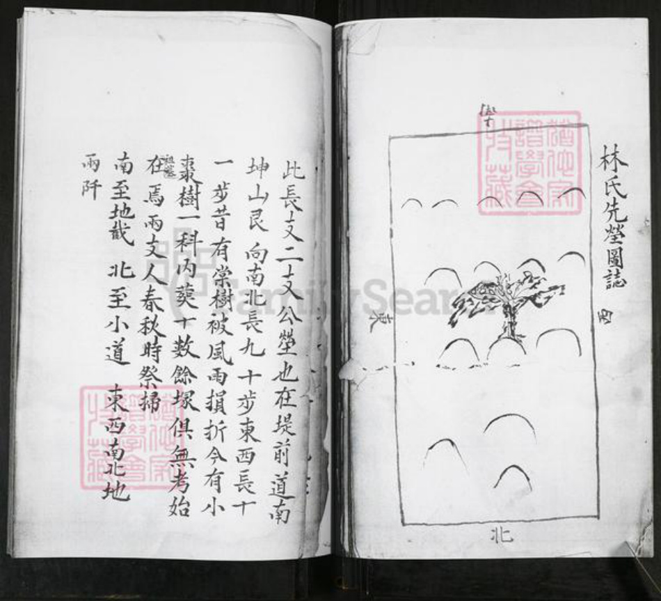 山东省青岛市即墨区林氏族谱-即墨林氏族谱.pdf电子版插图4 山东省青岛市即墨区林氏族谱-即墨林氏族谱.pdf电子版插图4