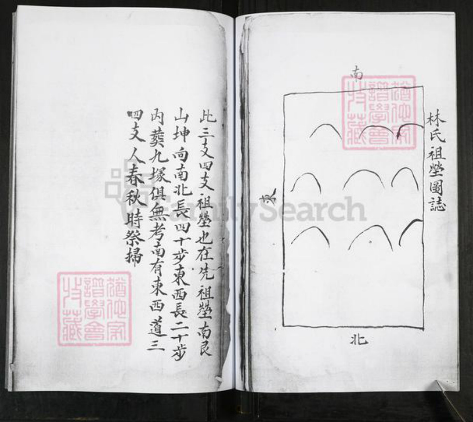 山东省青岛市即墨区林氏族谱-即墨林氏族谱.pdf电子版插图5 山东省青岛市即墨区林氏族谱-即墨林氏族谱.pdf电子版插图5