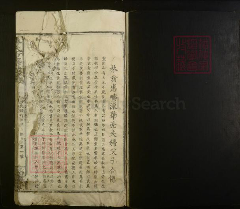 江西省赣州市赣县区林氏族谱-林氏重修族谱.pdf电子版插图1